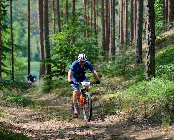 Où acheter un vélo de ville d'occasion en ligne ?